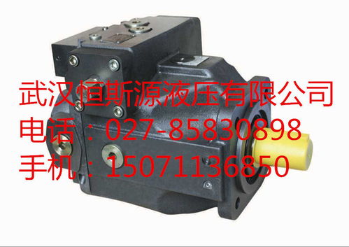徐州市高質(zhì)量軸向柱塞泵a4vso355dr 30r vpb13n00公司